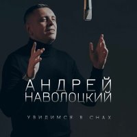 Постер песни Андрей Наволоцкий - Увидимся в снах