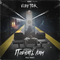 Постер песни VibeTGK - Поднять лям (Molz Remix)