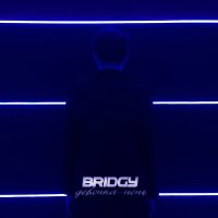 Постер песни Bridgy - Девочка ночь