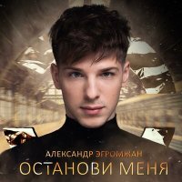 Постер песни Александр Эгромжан - Останови меня