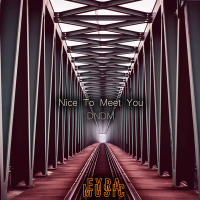 Постер песни DNDM - Nice To Meet You