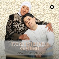 Постер песни Айдар Тұрғамбек - Туған күніңмен Анашым