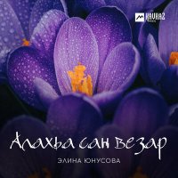 Постер песни Элина Юнусова - Алахьа сан везар