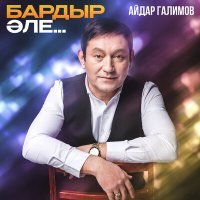 Постер песни Айдар Галимов - Бардыр эле...