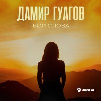 Постер песни Дамир Гуагов - Твои слова