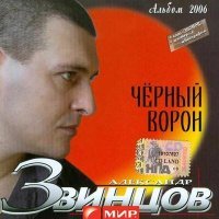 Постер песни Александр Звинцов - Тебя искал