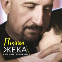 Постер песни Жеkа - Птица