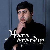 Постер песни Mustafa Mustafayev - Hara Apardın