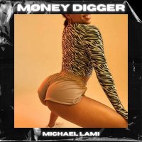 Постер песни Michael Lami - Money didder