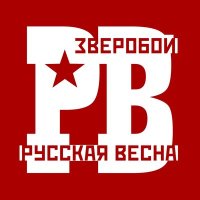 Постер песни Зверобой - Шанс на спасение