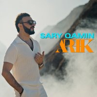 Постер песни ARIK - Sary qamin