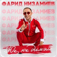 Постер песни Фарид Низамиев - Юк, юк димэле