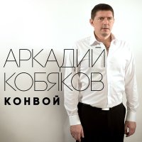 Постер песни Аркадий Кобяков - Унесите меня, журавли