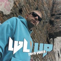 Постер песни Toys Voice - LVL UP