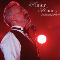 Постер песни Timur Acımış - Özlediğim Şarkısın