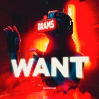 Постер песни Brams - Want