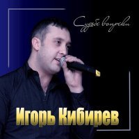 Постер песни Игорь Кибирев - Судьбе вопреки
