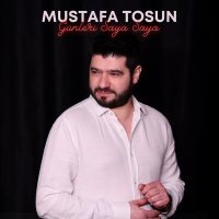 Постер песни Mustafa Tosun - Günleri Saya Saya