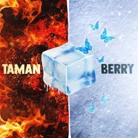 Постер песни TAMAN, Berry - На разных берегах