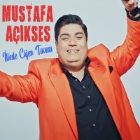 Постер песни Mustafa Açıkses - İllede Ciğer Tavası