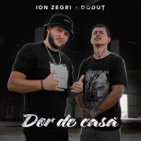 Постер песни Ion Zegri, Dodut - Dor de casă