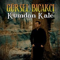 Постер песни Gürsel Bıçakcı - Kumdan Kale