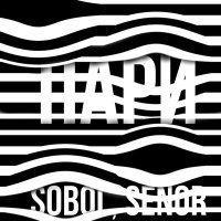 Постер песни SOBOL, Senor - Пари