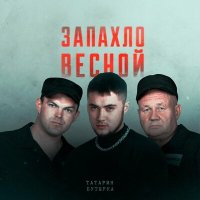 Постер песни ТАТАРИН, Бутырка - Запахло весной (Pavel Kosogov Radio Edit)