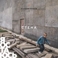 Постер песни Анатолий Крупнов - Серый святой