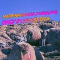 Постер песни Направленное Размытие - Orgy in Ionoteka