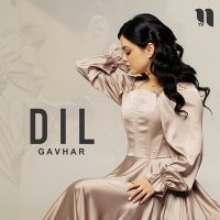 Постер песни Gavhar - Dil