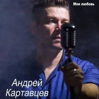 Постер песни Андрей Картавцев - Почему