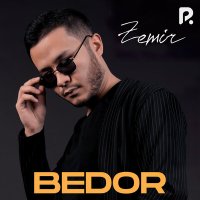 Постер песни Zemir - Bedor