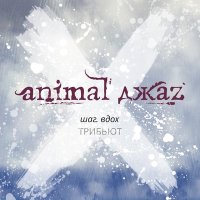 Постер песни IOWA, Animal ДжаZ - Пузырьки