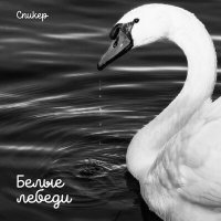Постер песни Спиkер - Белые лебеди