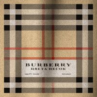 Постер песни Nasty Babe, Solway - Burberry Цвета Песок (Slowed)
