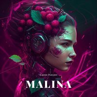 Постер песни Карим Рындин - Malina