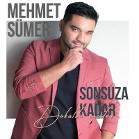 Постер песни Mehmet Sümer - Loş Hoş
