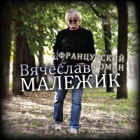 Постер песни Вячеслав Малежик - Только я верю