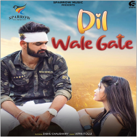 Постер песни Vipin Foji, Dishu Choudhary - Dil Wale Gate