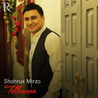 Постер песни Shohrux Mirzo - Bu gecha