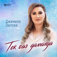 Постер песни Джамиля Залова - Тек ваз дамахда