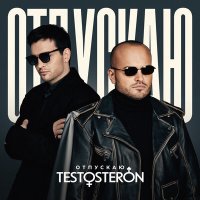 Постер песни TESTOSTERON - Отпускаю (Radio Edit)