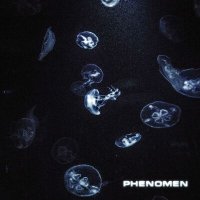 Постер песни c152 - Phenomen