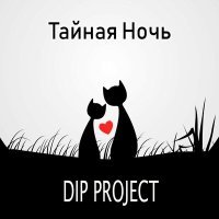 Постер песни DIP Project - Тайная ночь