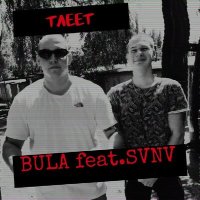 Постер песни BULA & SVNV - Тлеет (SashsSdelal Remix)