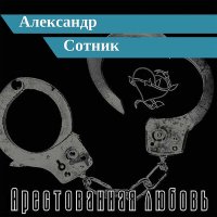 Постер песни Александр Сотник - Ворон