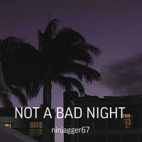 Постер песни ninjagger67 - not a bad night