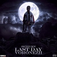 Постер песни Swozzy boy - Last Day Voronezh