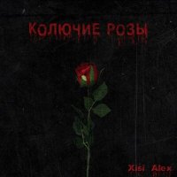 Постер песни Xisi Alex - Колючие розы